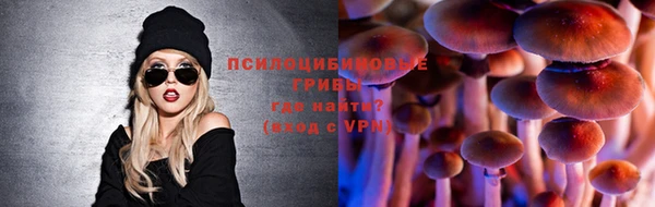 spice Балахна