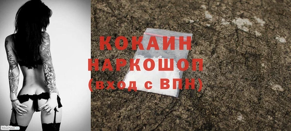 стаф Приозерск