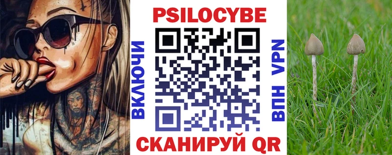 Галлюциногенные грибы Psilocybe  Семилуки 