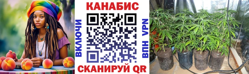 Бошки Шишки VHQ  Семилуки 